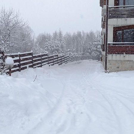 Apartment Detelina Residence Bansko Zewnętrze zdjęcie