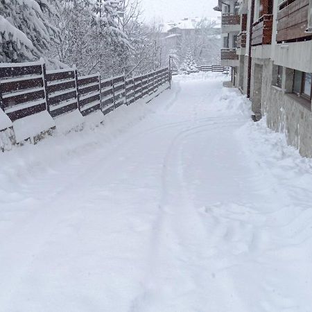 Apartment Detelina Residence Bansko Zewnętrze zdjęcie