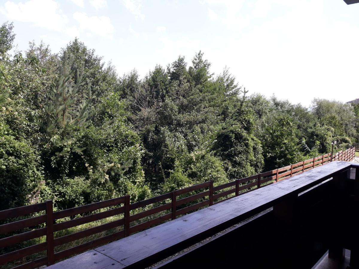 Apartment Detelina Residence Bansko Zewnętrze zdjęcie
