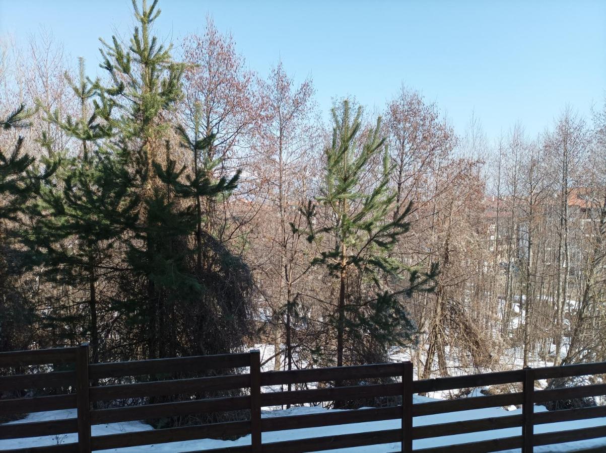 Apartment Detelina Residence Bansko Zewnętrze zdjęcie