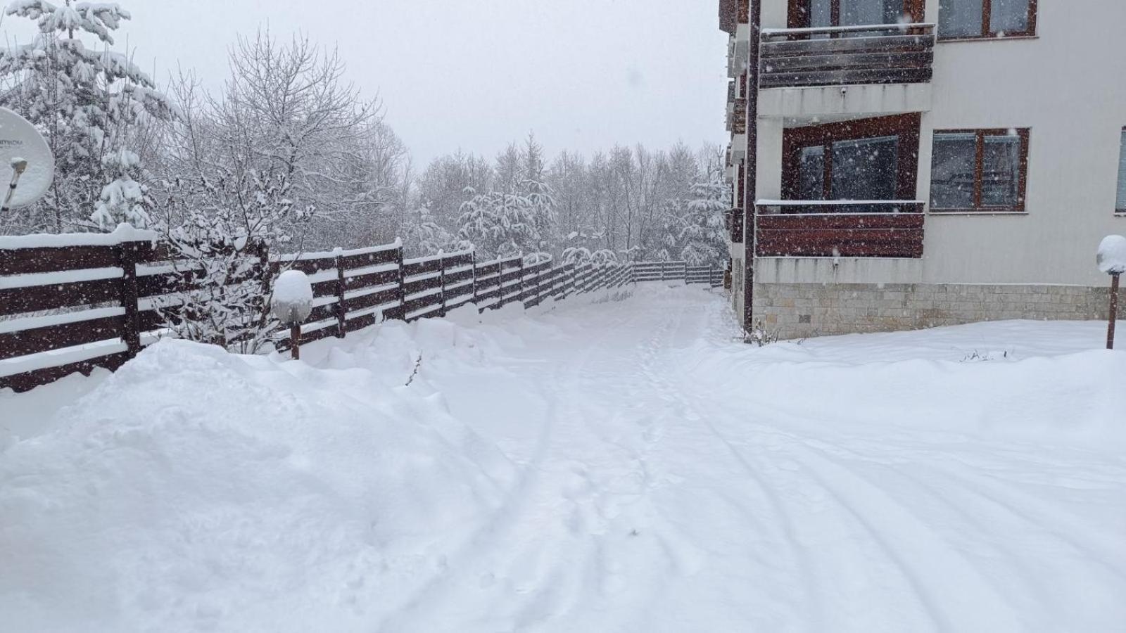 Apartment Detelina Residence Bansko Zewnętrze zdjęcie