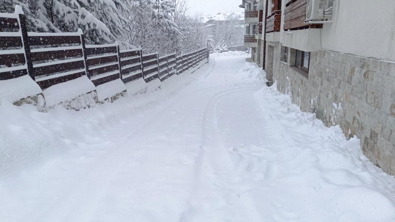 Apartment Detelina Residence Bansko Zewnętrze zdjęcie