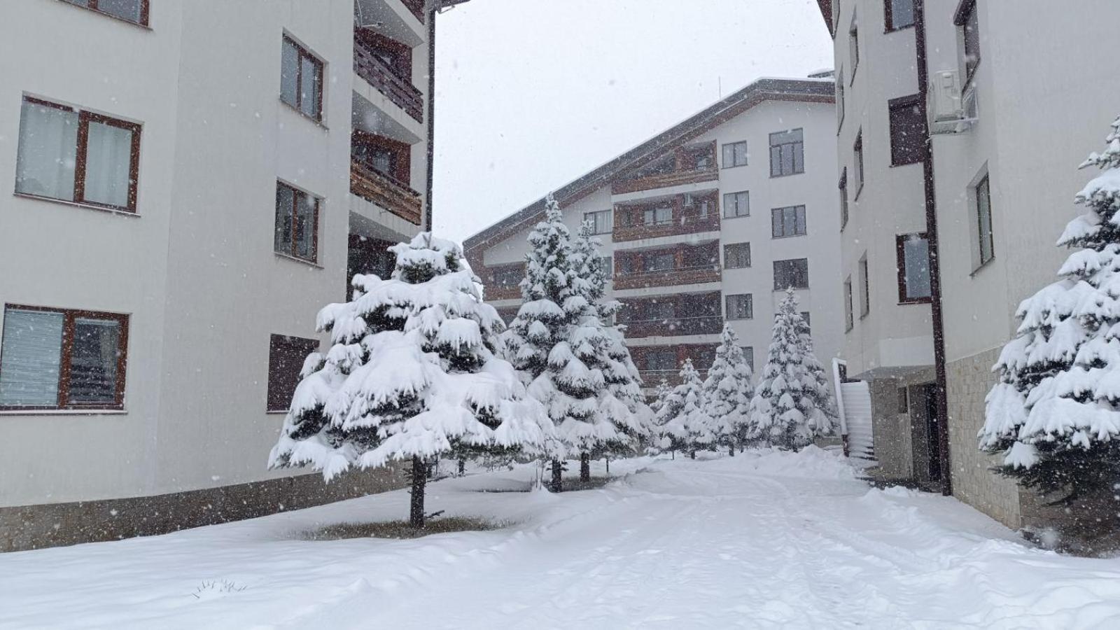 Apartment Detelina Residence Bansko Zewnętrze zdjęcie