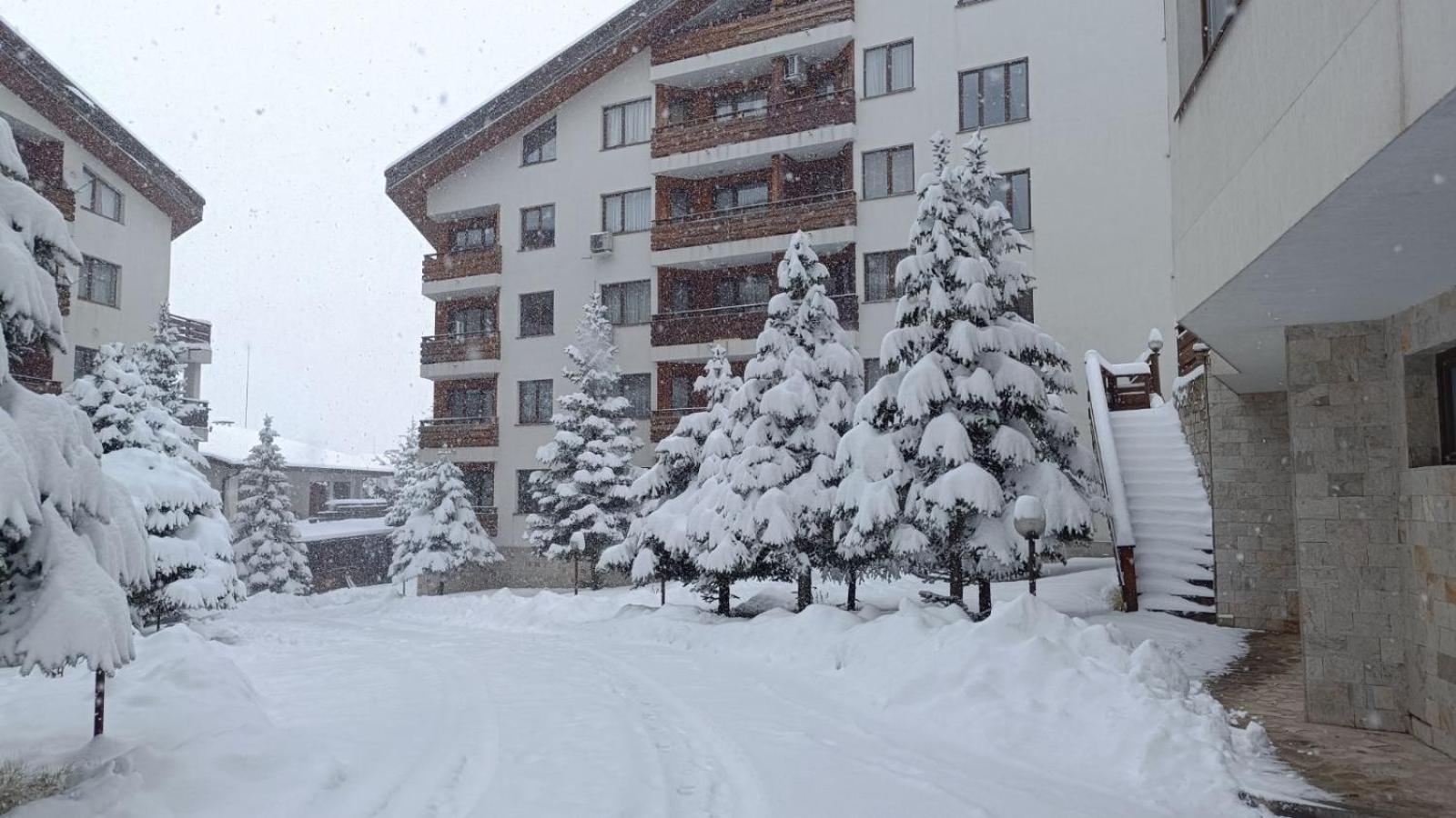 Apartment Detelina Residence Bansko Zewnętrze zdjęcie