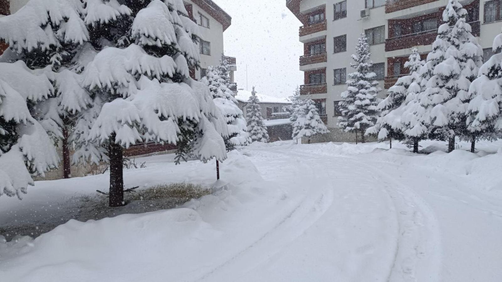 Apartment Detelina Residence Bansko Zewnętrze zdjęcie