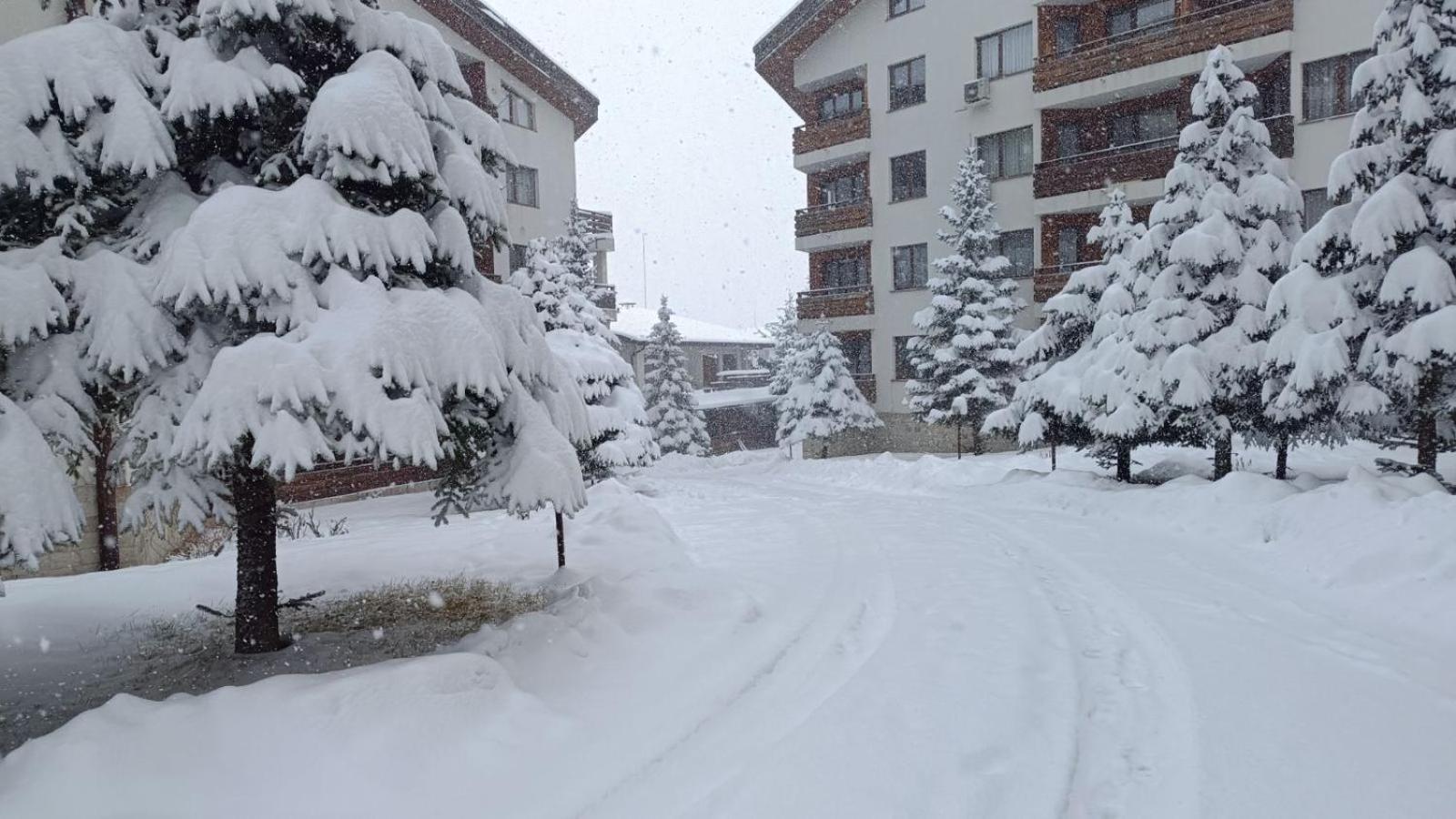 Apartment Detelina Residence Bansko Zewnętrze zdjęcie