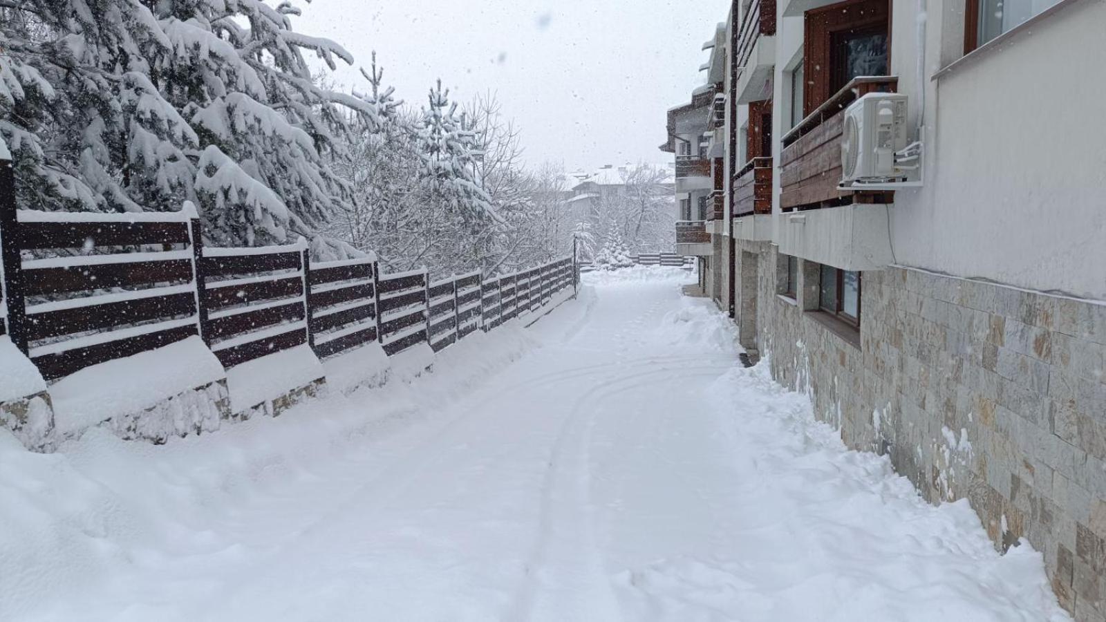 Apartment Detelina Residence Bansko Zewnętrze zdjęcie
