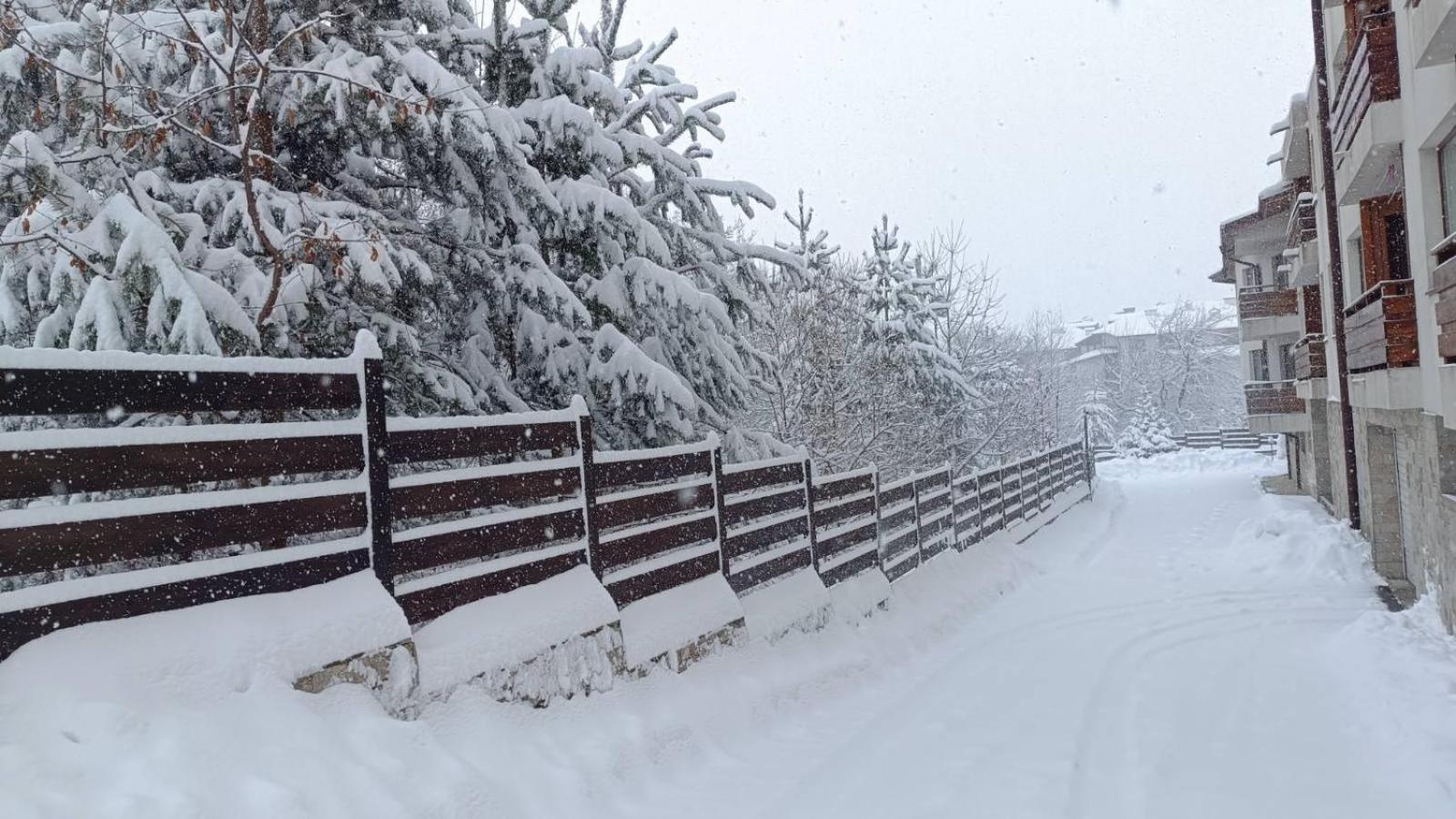 Apartment Detelina Residence Bansko Zewnętrze zdjęcie