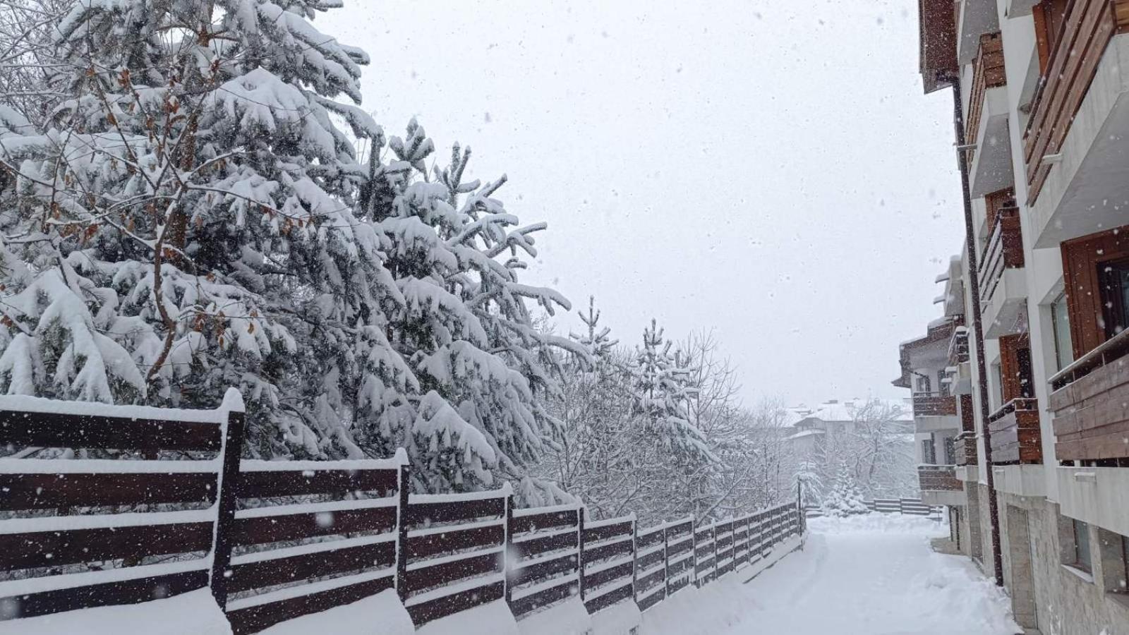 Apartment Detelina Residence Bansko Zewnętrze zdjęcie